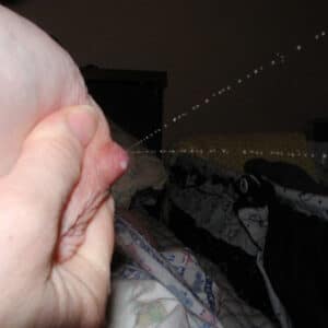 Private Ficktreffen mit erotischer Laktation